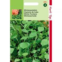Zaden Winter Postelein Hortitops - Hortitops - thumbnail