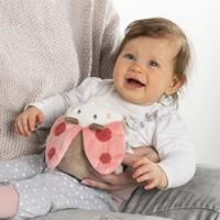 Fehn kersenpitkussen - warmte- en koudekussen in schattig design voor baby's en peuters vanaf 0+ maanden Kever, Garden Dreams Käfer, Garden Dreams - thumbnail