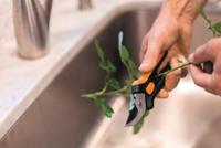 Solid Snip Bloemenschaar Fiskars - Fiskars - thumbnail