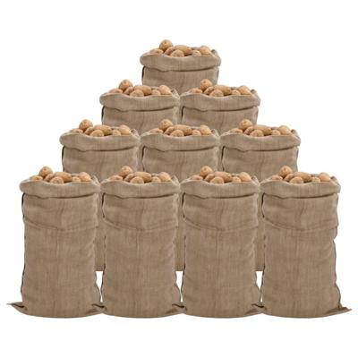 VidaXL Jutezakken 10 stuks 65x135 cm 100% jute 340 g/m² VidaXL Jutezakken 10 stuks 65x135 cm 100% jute 340 g/m²