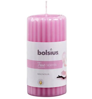 Bolsius True Scents stompkaars geur 120/58 magnolia 1 Stuks Bolsius True Scents stompkaars geur 120/58 magnolia 1 Stuks