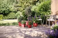 Bloempot - ELHO - Amiga Rond 40 - Rood - Ø 39 x H 29 cm - Buiten - 100% gerecycled - thumbnail