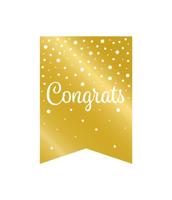 Vaandel Vlaggenlijn Congrats Goud/Wit (6m) - thumbnail