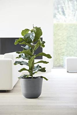 Ecopots Bloempot Oslo Ø35cm - Grijs Ecopots Bloempot Oslo Ø35cm - Grijs