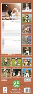 Beagle Kalender 2026 Slimline Beagle Kalender 2026 Slimline
