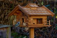 dobar Vogelhuis Tirol - thumbnail