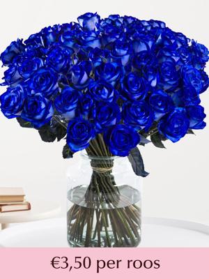 Blauwe rozen - XL rozen - 10 t/m 49 rozen Blauwe rozen - XL rozen - 10 t/m 49 rozen