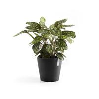Ecopots Bloempot Amsterdam Ø30cm - Donkergrijs - thumbnail
