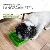 Eat Slow Live Longer Star Green XS - thumbnail