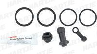 DAYTONA reparatie kit remklauw repair set 88295 - thumbnail