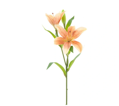 Lilium spray Jakarta peach 53 cm kunstbloem Erutan Avon - Erutan avon Lilium spray Jakarta peach 53 cm kunstbloem Erutan Avon - Erutan avon