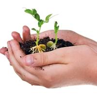 CLEMENTONI Science & Game - The Biosphere - Scientific Game - thumbnail