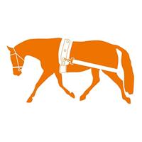 Harry&apos;s Horse Longeerband elastisch zwart maat:one size - thumbnail