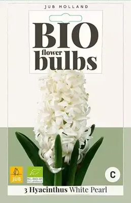 Hyacint White Pearl bloembollen 3 bollen Hyacint JUB - Jub