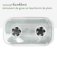 Elho Green basics kweektray all-in-1 M 32cm living black - thumbnail