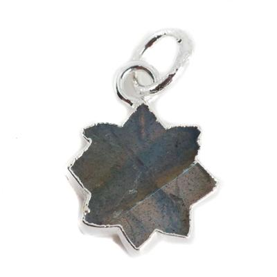 Edelsteen Hanger Labradoriet Zon - 12 mm