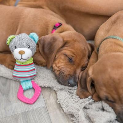 TRIXIE Puppy-kauwspeelgoed Gebitsverzorging-beertje, bont - thumbnail
