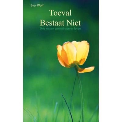 Toeval bestaat niet (Paperback)