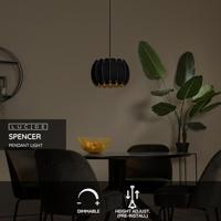 Lucide SPENCER - Hanglamp - Ø 30 cm - 1xE27 - Zwart - thumbnail