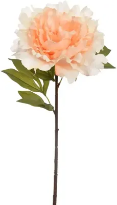 Pure Royal kunsttak pioenroos 69cm vanille