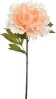 Pure Royal kunsttak pioenroos 69cm vanille - thumbnail