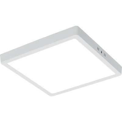 LED Paneel 30x30 - Helder Koud Wit 6400K - 24W - Flikkervrij - Mat Wit