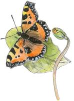 Fineliner Uni-ball Pin brush fijn zwart | 12 stuks - thumbnail