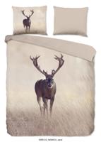 Good Morning Dekbedovertrek "edelhert" - Zand - (240x200/220 cm) - Katoen - thumbnail