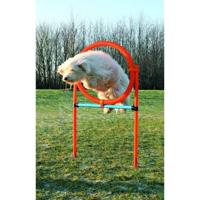 TRIXIE DOG ACTIVITY AGILITY RING BLAUW / ORANJE 65X3X115 CM - thumbnail
