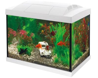 Superfish Start 20 goldfish kit wit
