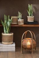 J-Line mand Rond + Band - jute - naturel|beige - extra small - 2 stuks - thumbnail