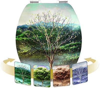 Cornat Wc-Bril Mdf-Fsc Holo-Season Sc Gr - KSDSC311