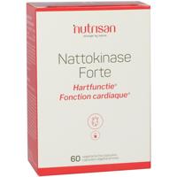 Nattokinase Forte - thumbnail
