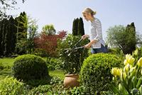 GARDENA EasyCut Heggenschaar Handmatig - thumbnail
