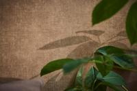 Livingwalls Smart Surfaces - Bruin - Structuur - 395668 - thumbnail