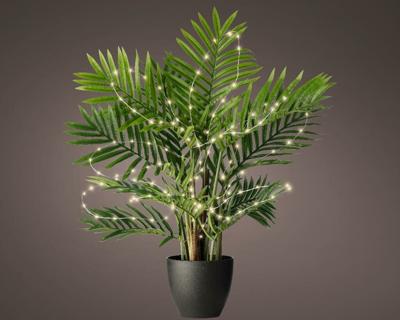 Microled plant bo l80 cm zilver/wit kerstverlichting Lumineo - Lumineo Microled plant bo l80 cm zilver/wit kerstverlichting Lumineo - Lumineo