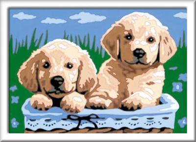 Ravensburger CreArt schilderen op nummer schattige puppy's