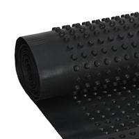 VidaXL Afvoerfolie noppen 2 st 400 g/m² 0,5x20 m hdpe - thumbnail