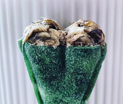 SYTA MICHA Kauwbot met frisse adem - hondenkauwbot - 13,5 cm