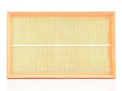 Luchtfilter BSG60135011 Luchtfilter BSG60135011