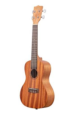 Kala KA KA 15 T BNDL RW startersset tenor ukelele + gigbag + tuner + riem + snaren