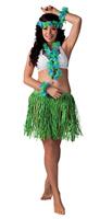 Tropische Hawaii set 4-delig - thumbnail