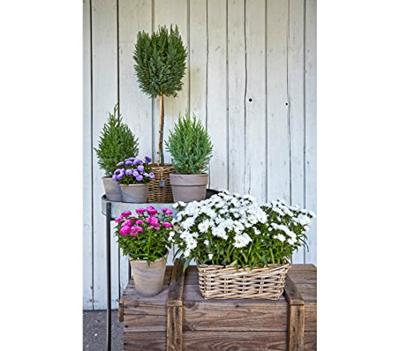 Bloembak Rotan Antiek Grijs 60cm