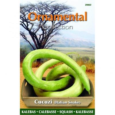 Zaden Ornamental Gourd Italian Edible / Cucuzi Buzzy - Buzzy