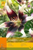 Lelie Nettys pride - thumbnail