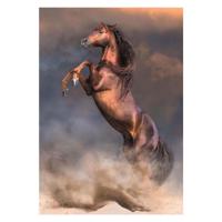 Clementoni legpuzzel wild red stallion, 500st. - thumbnail