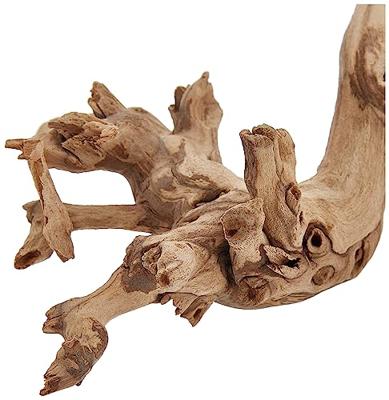 EXO TERRA Decoratie Geschuurde wijnstok - Groot model - Voor terrarium EXO TERRA Decoratie Geschuurde wijnstok - Groot model - Voor terrarium