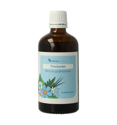 Balancepharma Betula pubescens tincturen 100 Milliliter