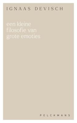 Een kleine filosofie van grote emoties - Ignaas Devisch - ebook