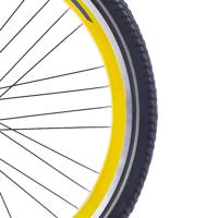 Alpina velg 26 j19db 9x4 geel ys8107 - thumbnail